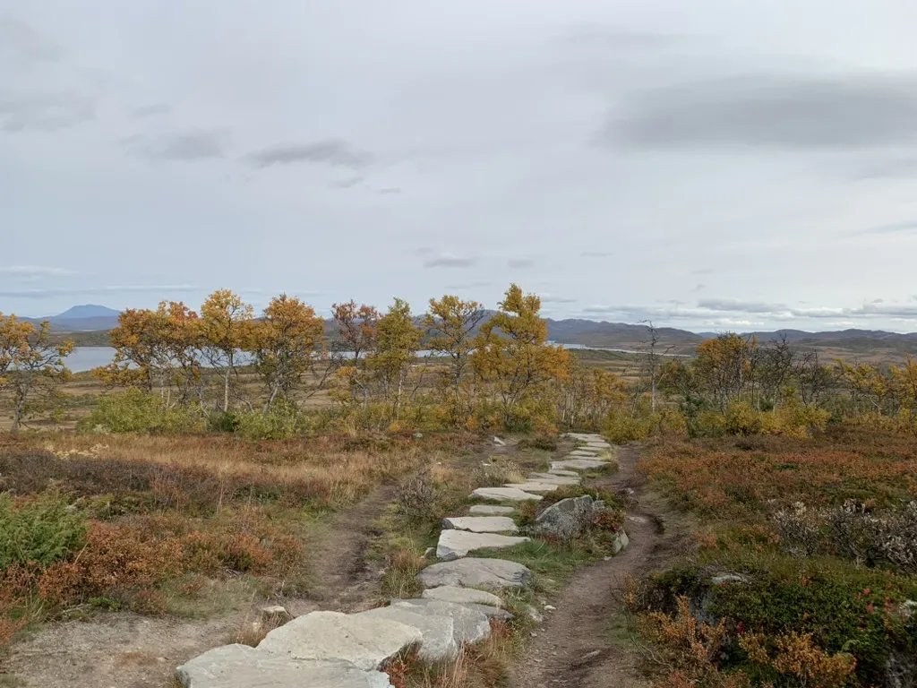 Workshop – Steens Consulting